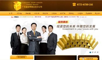 广西国金投资